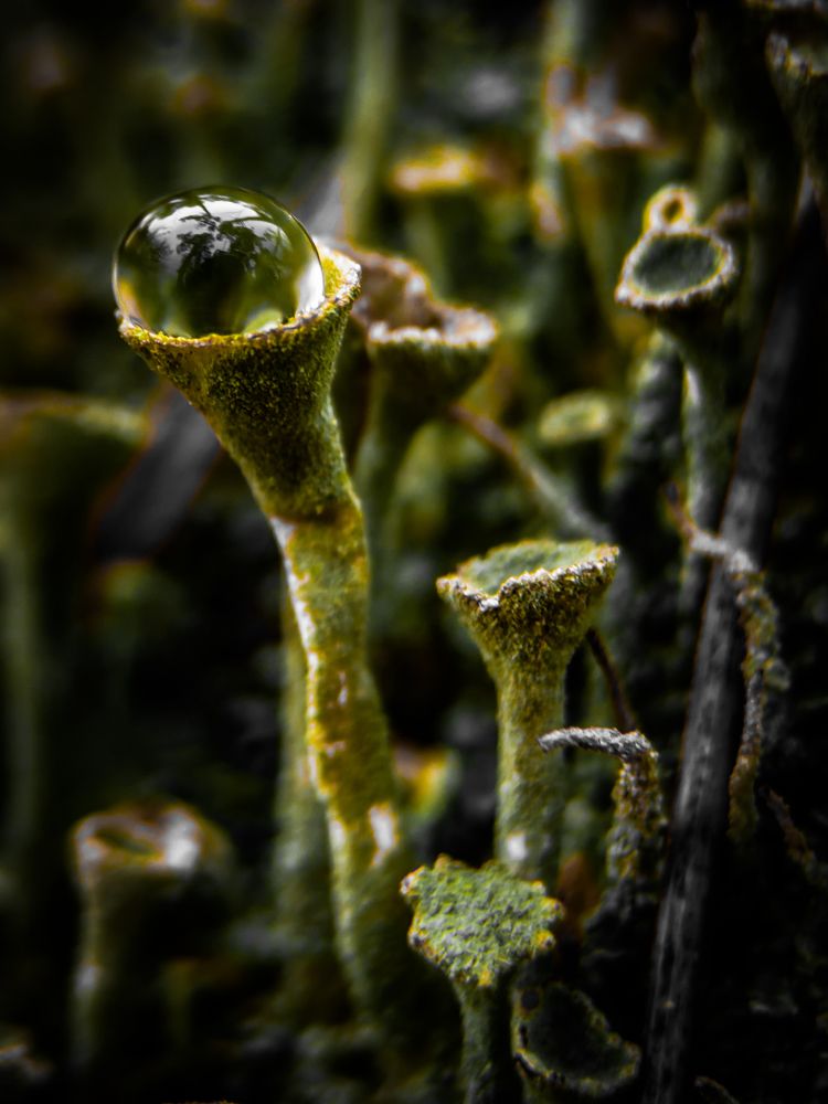 Photograph by Денис Грамович