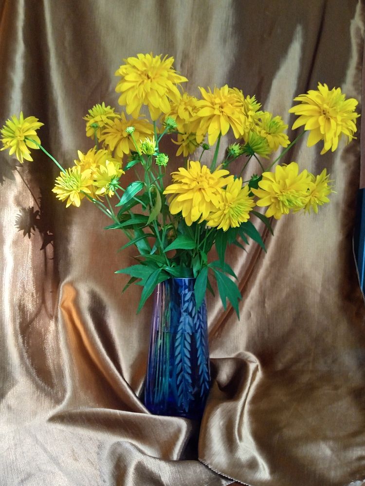 Photograph by Алия Хафизова