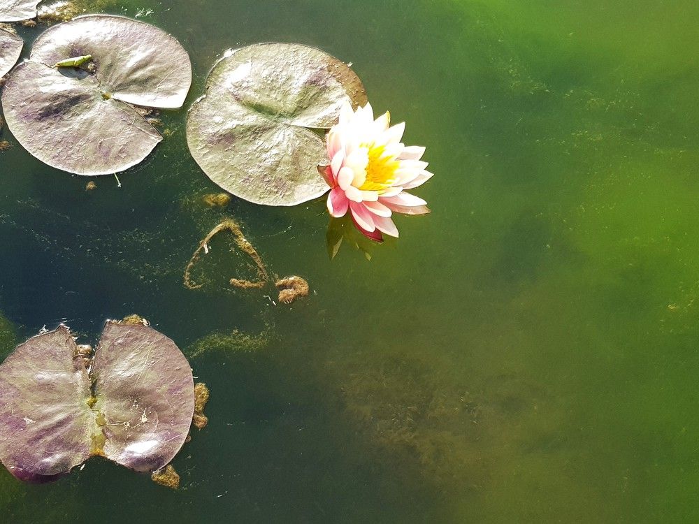 Photograph by Merav Zuberman Perkal