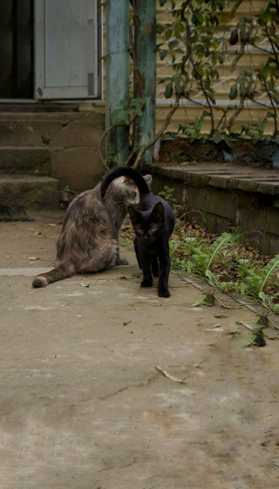 Photograph by Елена