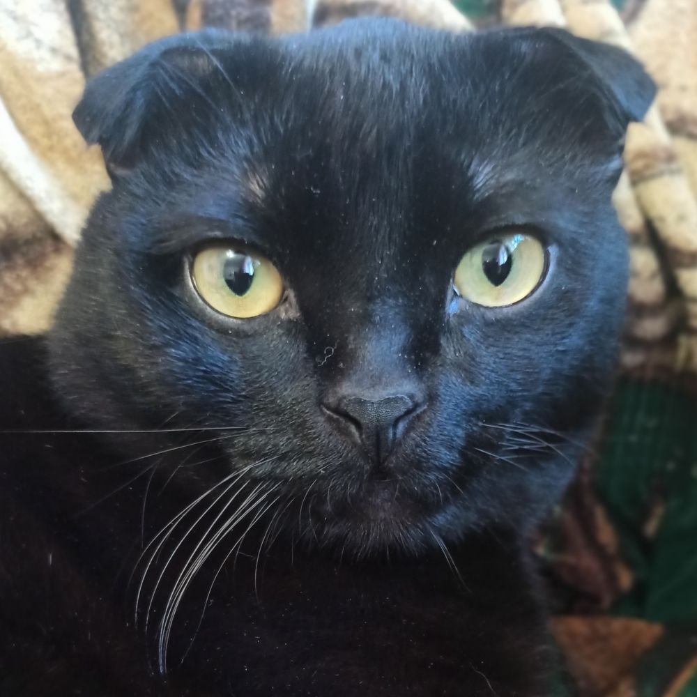 Photograph by Мария Тюленева