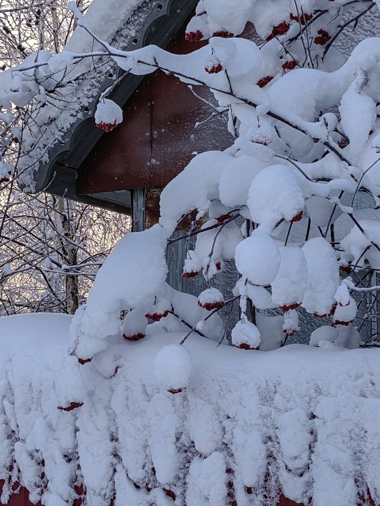 Зима в деревне
