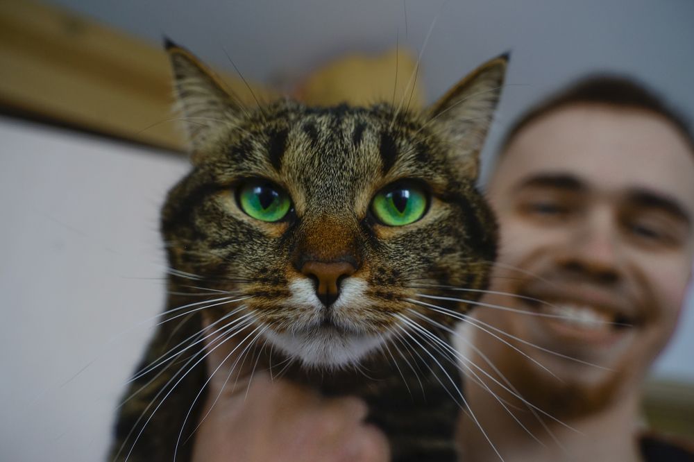 Photograph by Константин Рубис