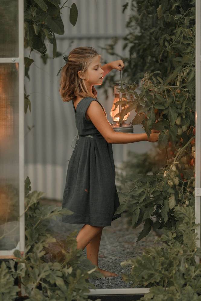 Помидорная история