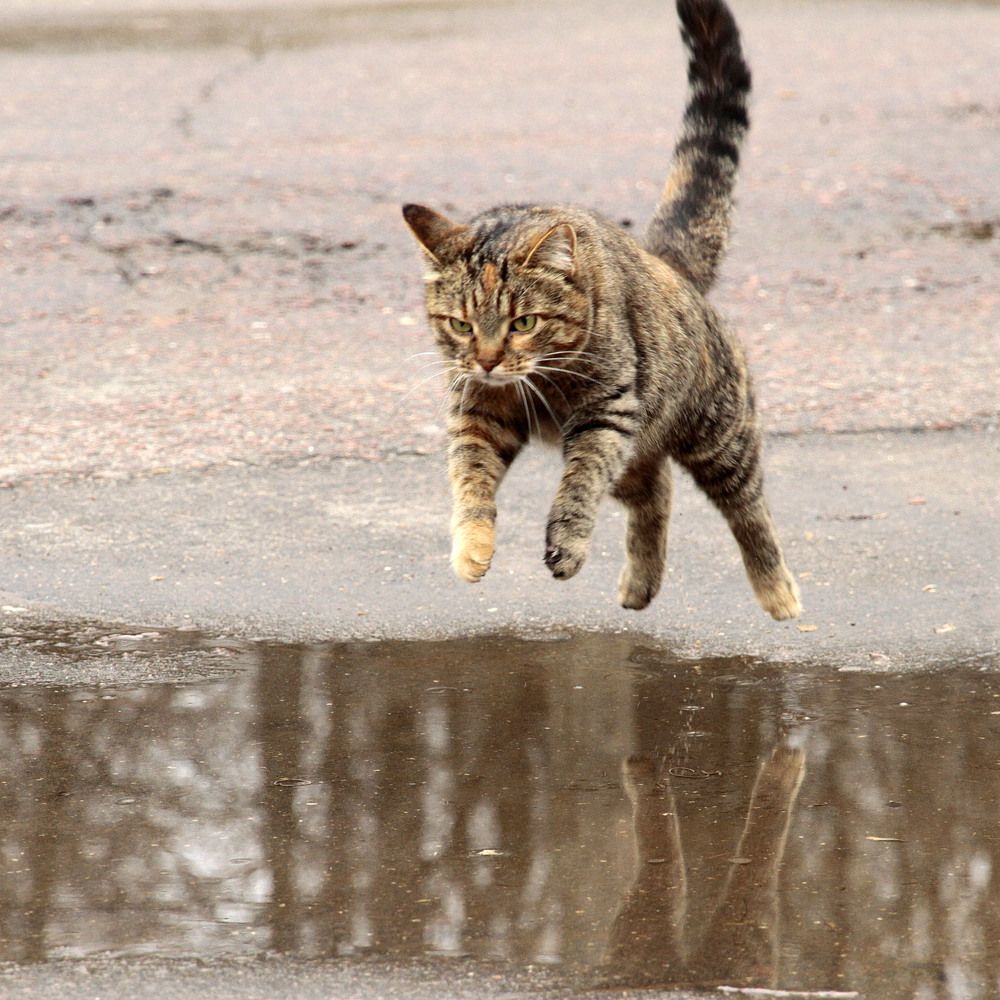 Photograph by Елена Маракулина