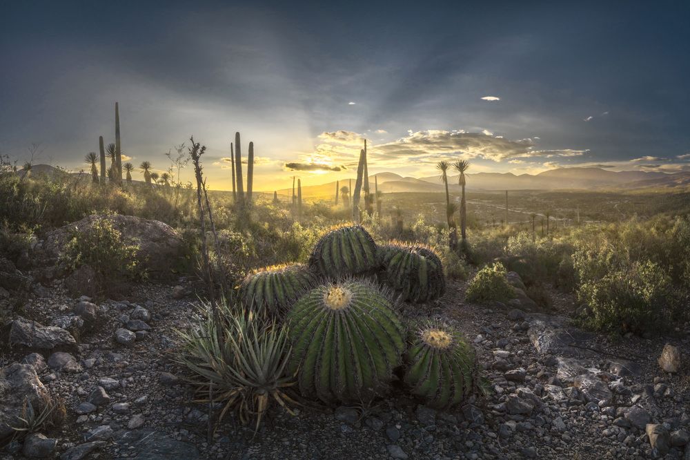 Photograph by Luis Roberto Lyons Suárez