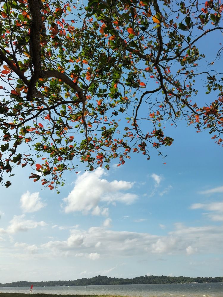 Фотография автора Hepzibah Guna Sakaran