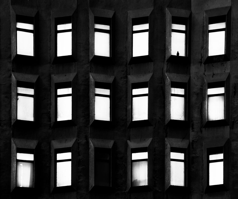 Фотография автора Mohammad Mohseni