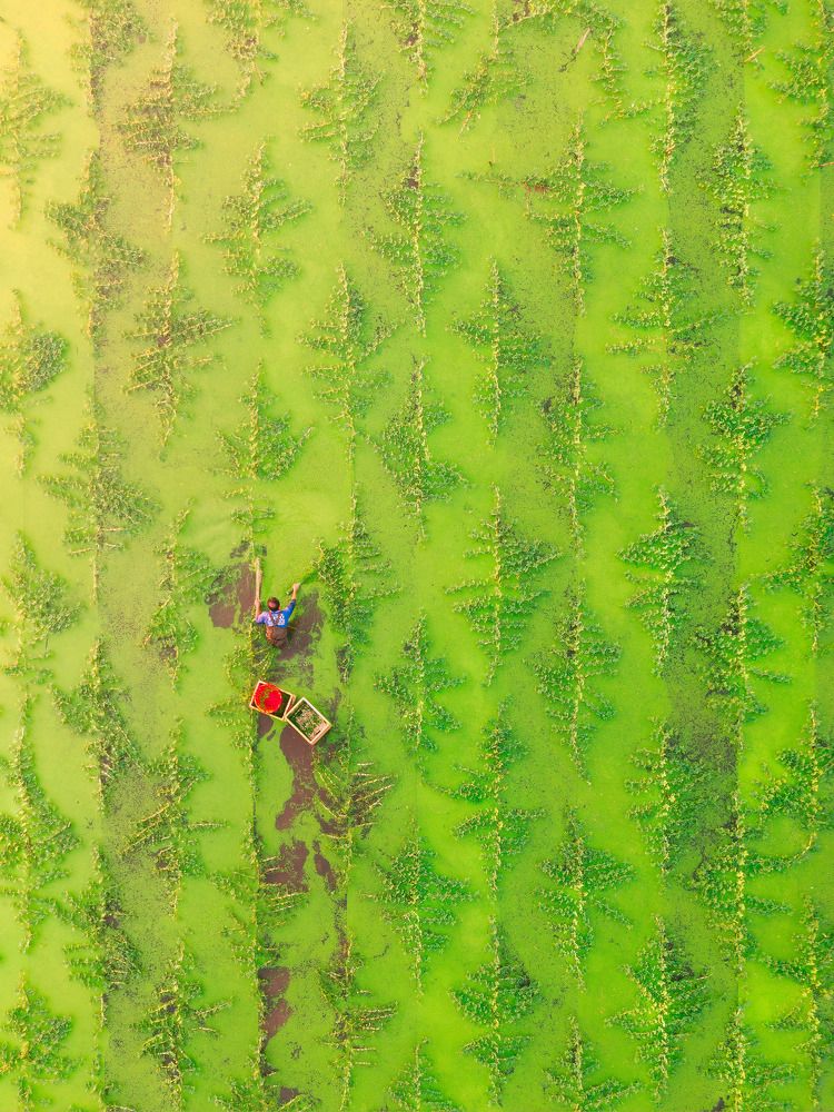 Photograph by Cao Ky Nhan