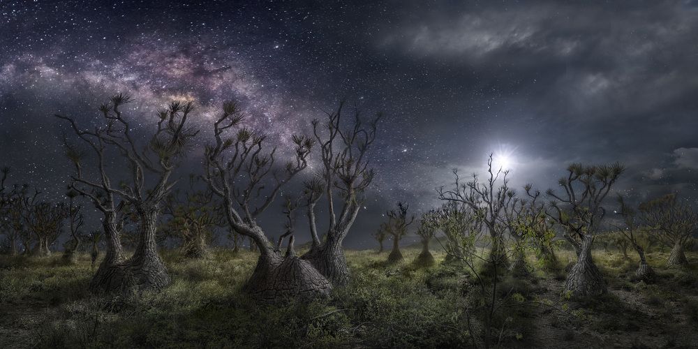 Moonset Night at the Valley of Eternity