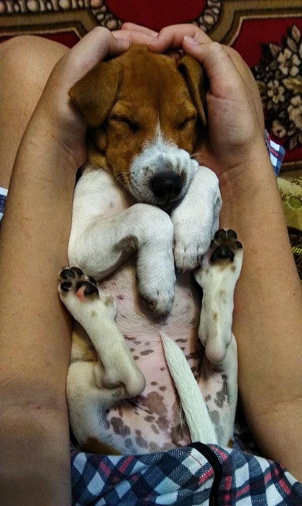 Фотография автора Сергей Тимофеев