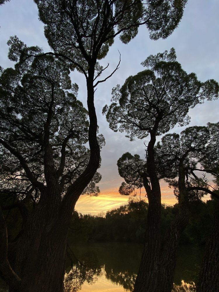 Фотография автора Виктор Вагнер