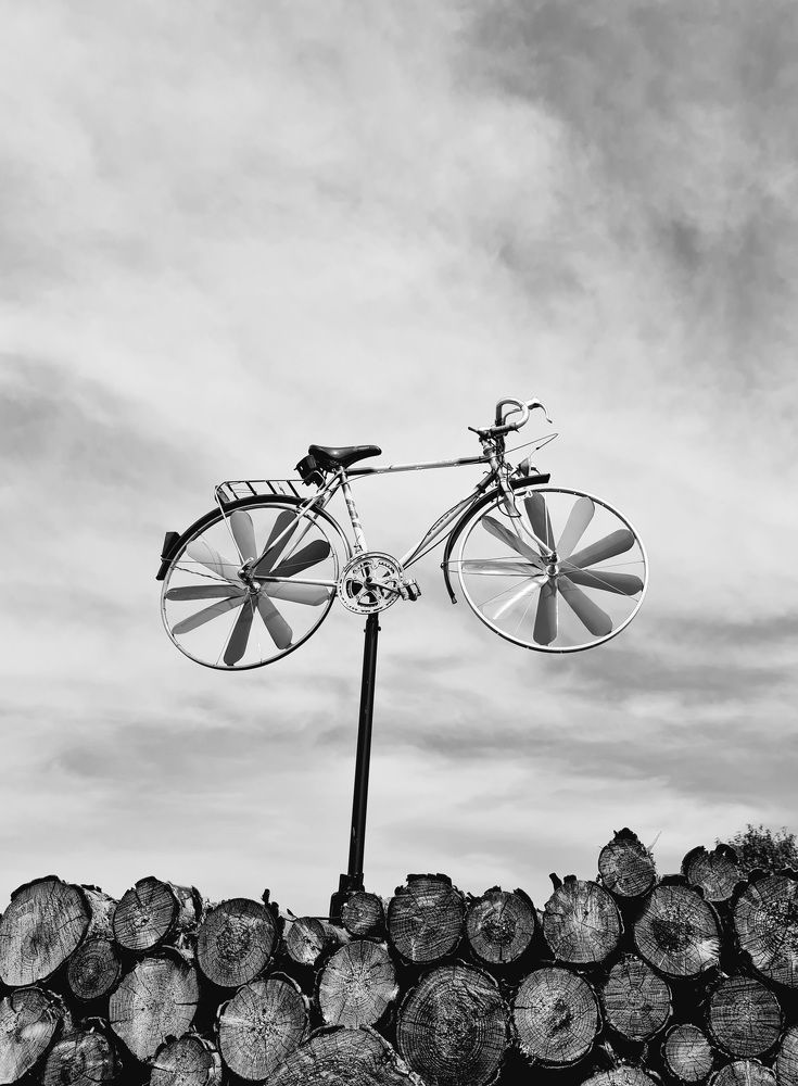 Photograph by InnaZe