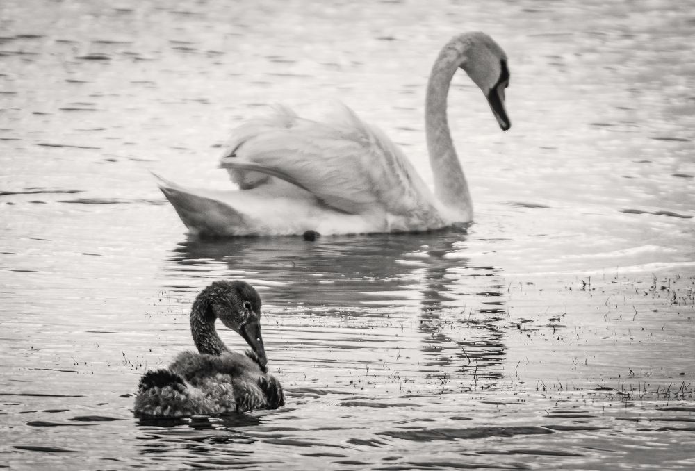 Photograph by Борис Пирог