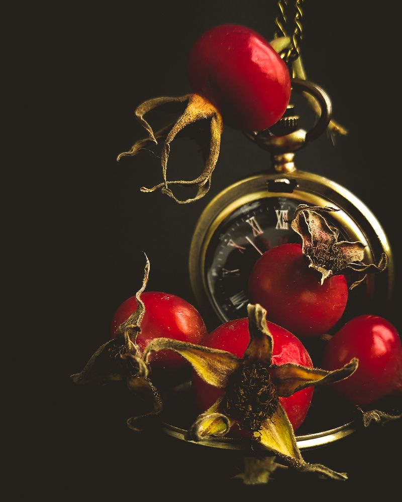 Фотография автора Марина Алексеевская