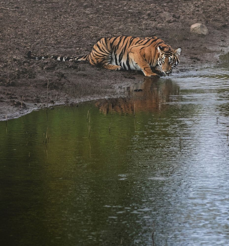 Photograph by Hirish Gowda BR