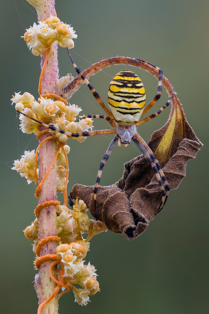 Photograph by Кузнецов Дмитрий