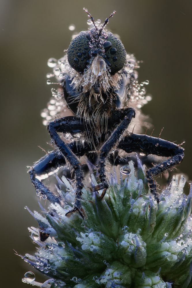 Photograph by Кузнецов Дмитрий