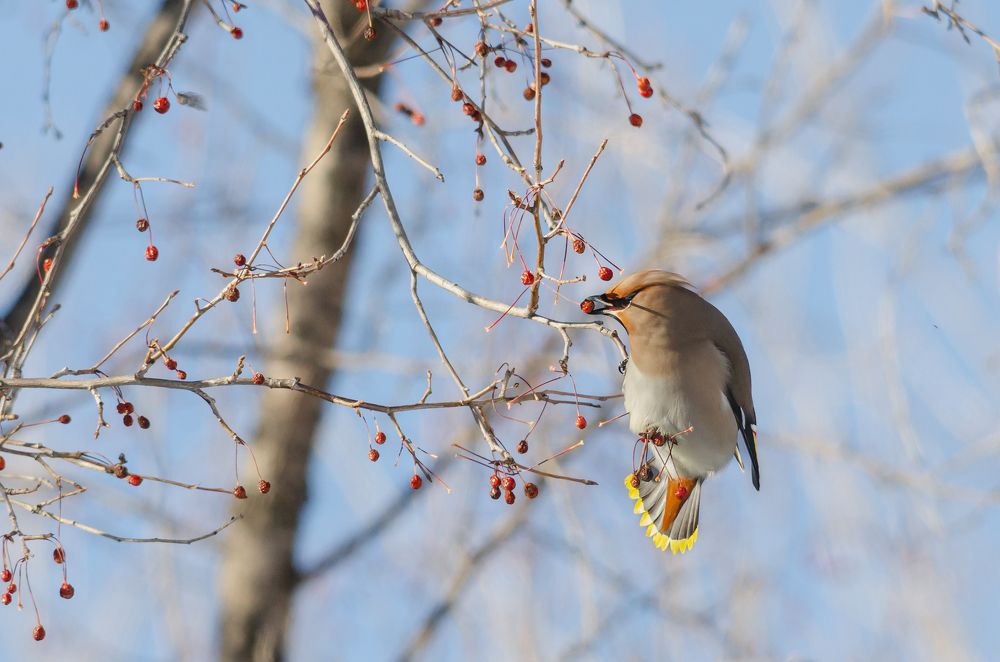 Photograph by Виктор Чернюк