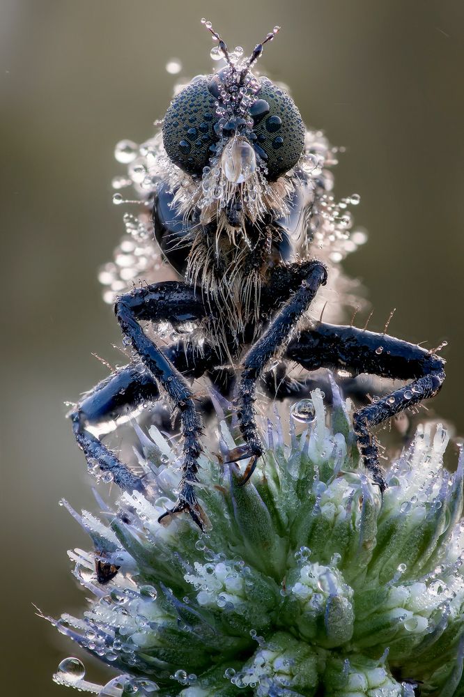 Photograph by Кузнецов Дмитрий