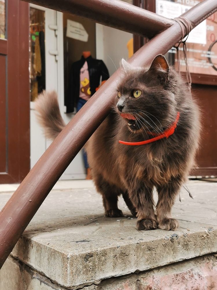 Photograph by Людмила Орловская