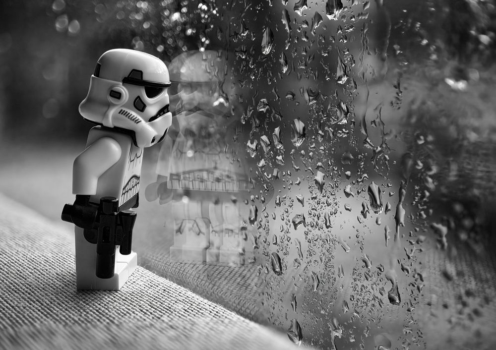 Photograph by Carmen