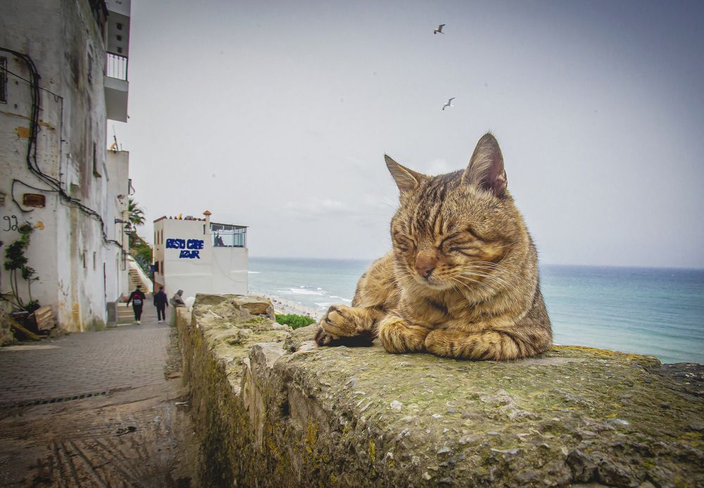 Photograph by Katja Sen