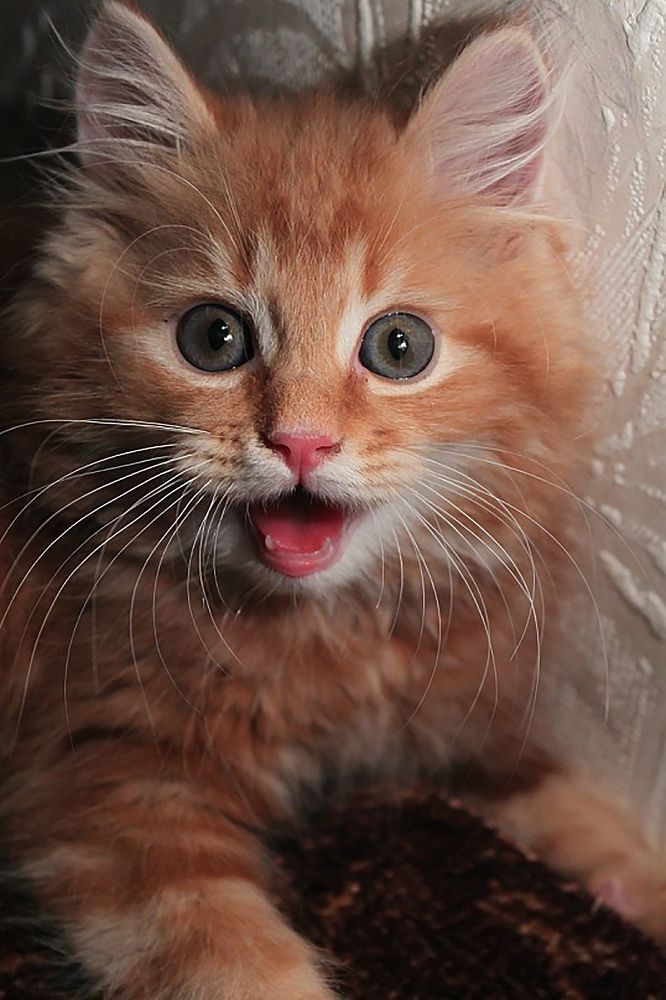 Photograph by Анна Федотова