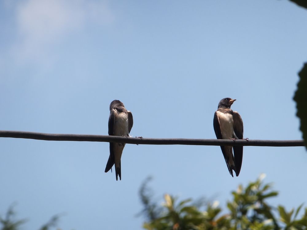 Photograph by Lasha Gegechkori