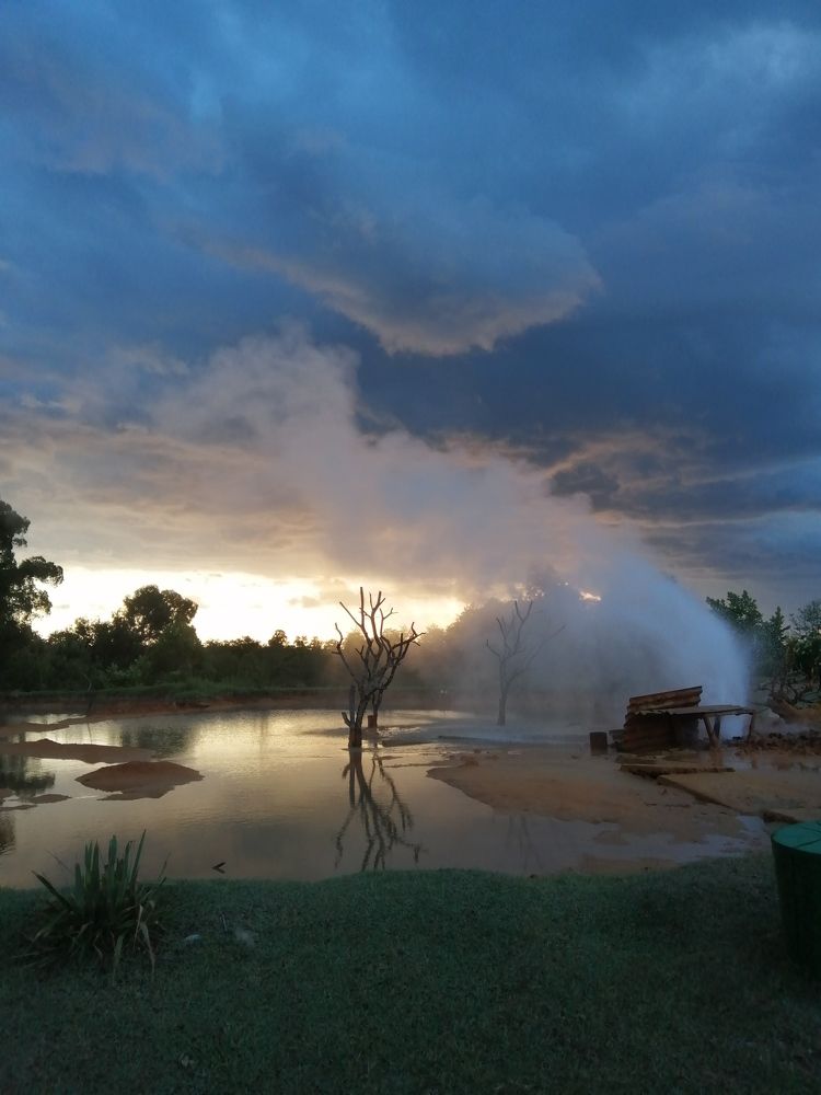 Photo #8909436