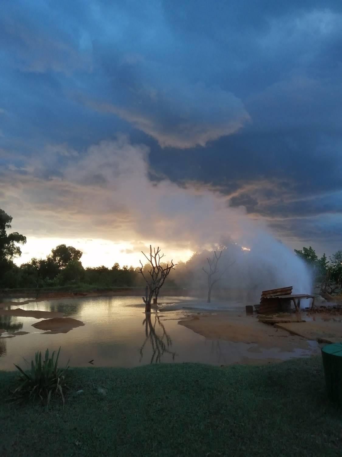 Photo #8909436