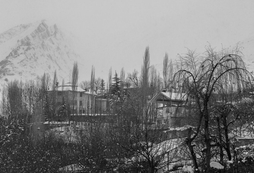 Photograph by Ali taheri