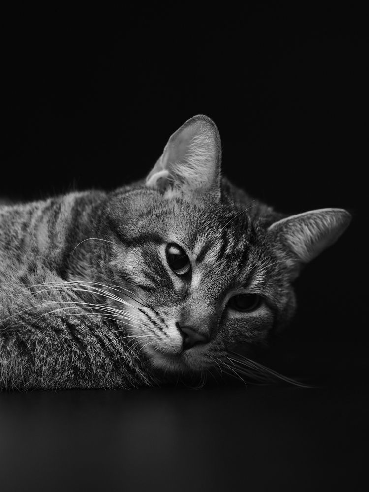 Photograph by Дмитрий Шад