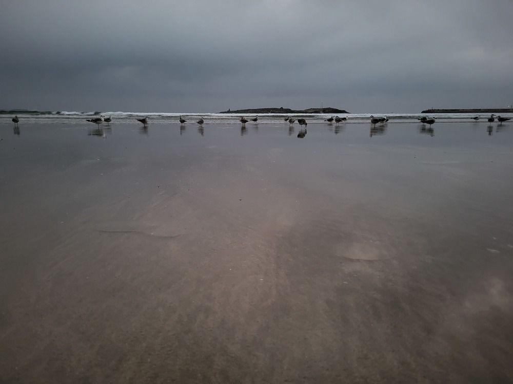 Photograph by Елена Блинова