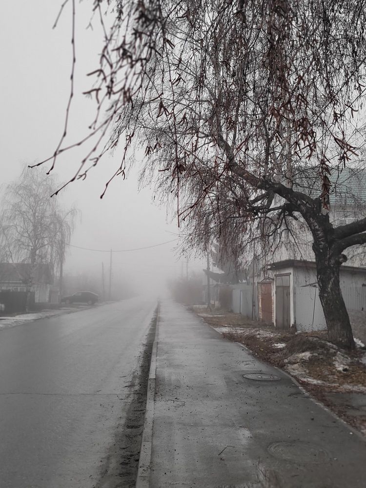 Photograph by Светлана Гаранина