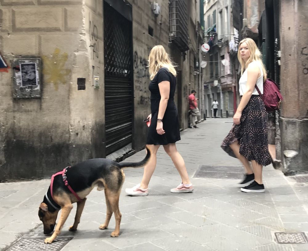 Photograph by Таня Мартынова