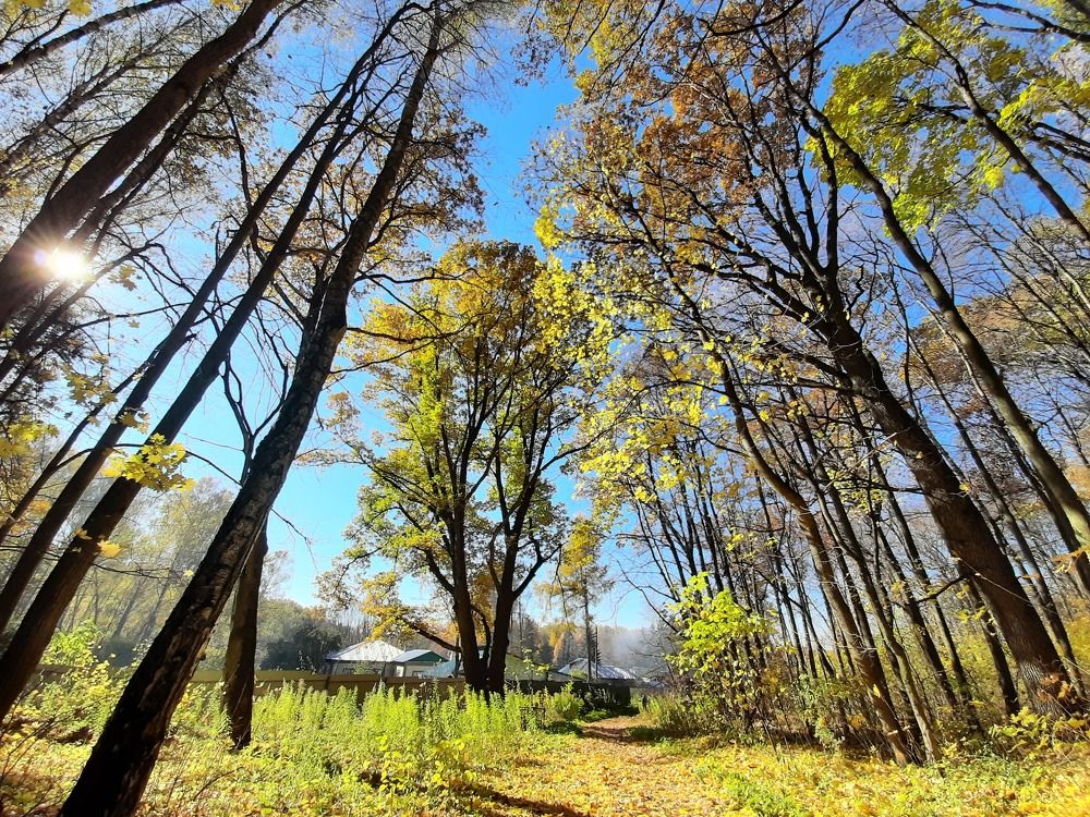 Photograph by Анжелика Гарина