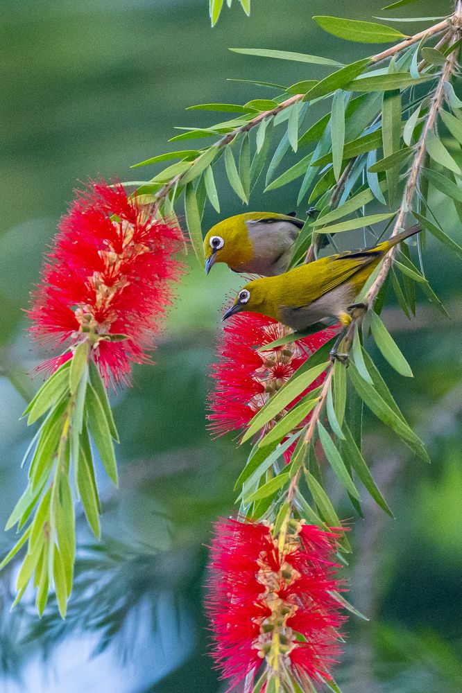 Photograph by NAVIN AGARWAL