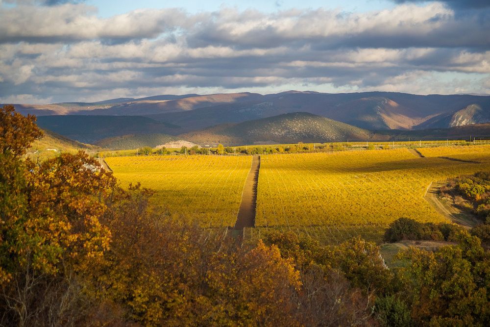 Photograph by Котенко Вадим