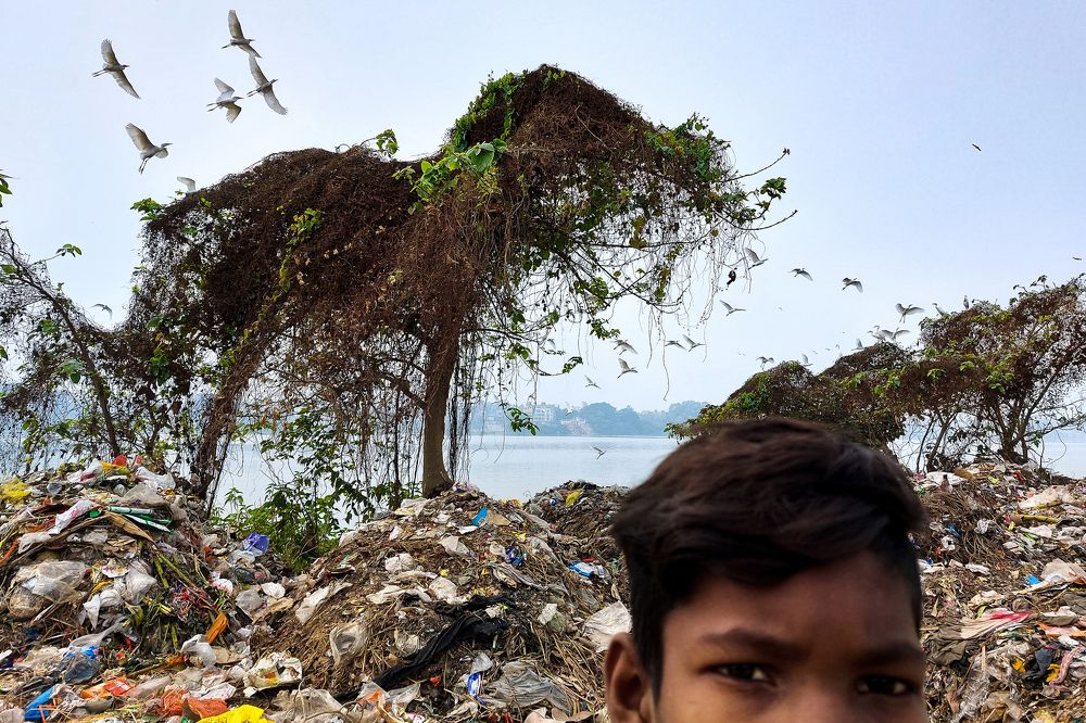 Life in the rubbish heap.