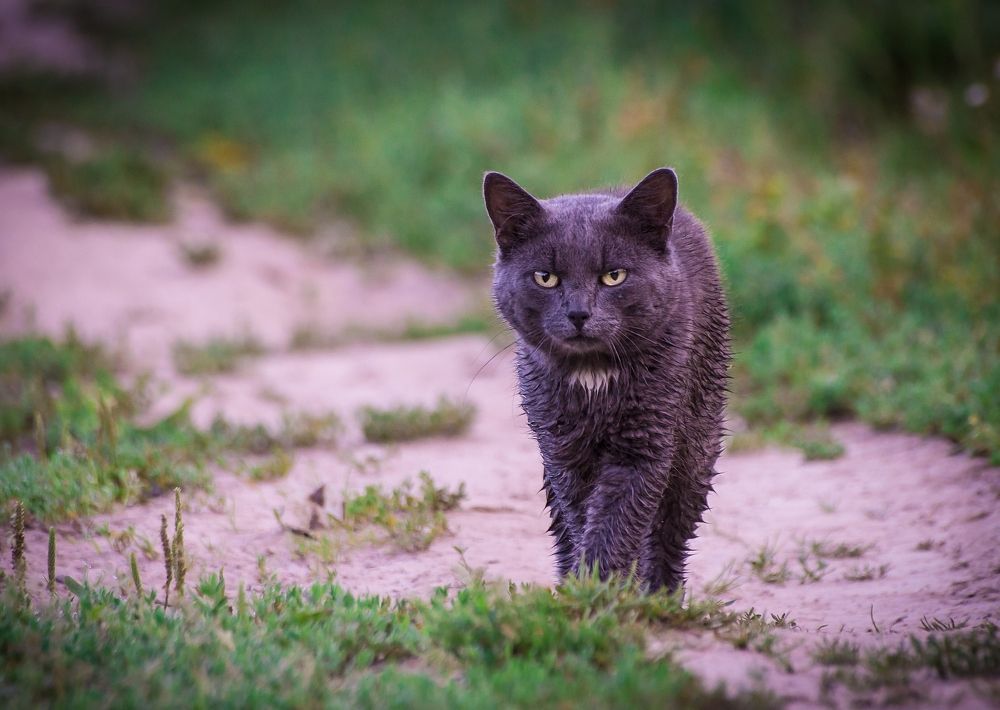 Photograph by Андрей Андрианов