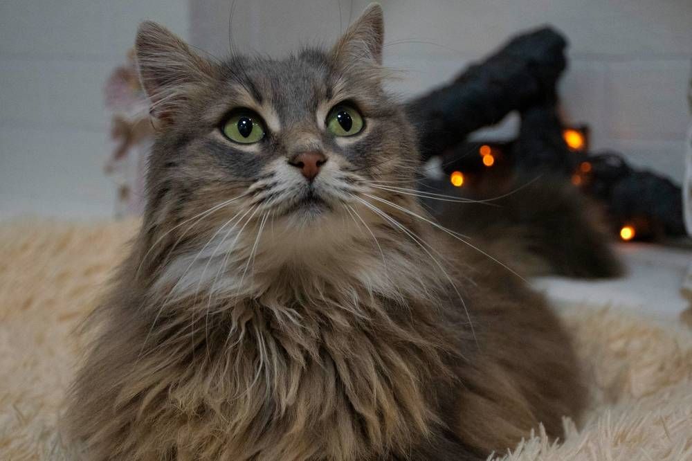 Photograph by Ольга Бурдюк