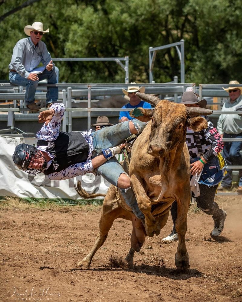 Photograph by Janet Williams