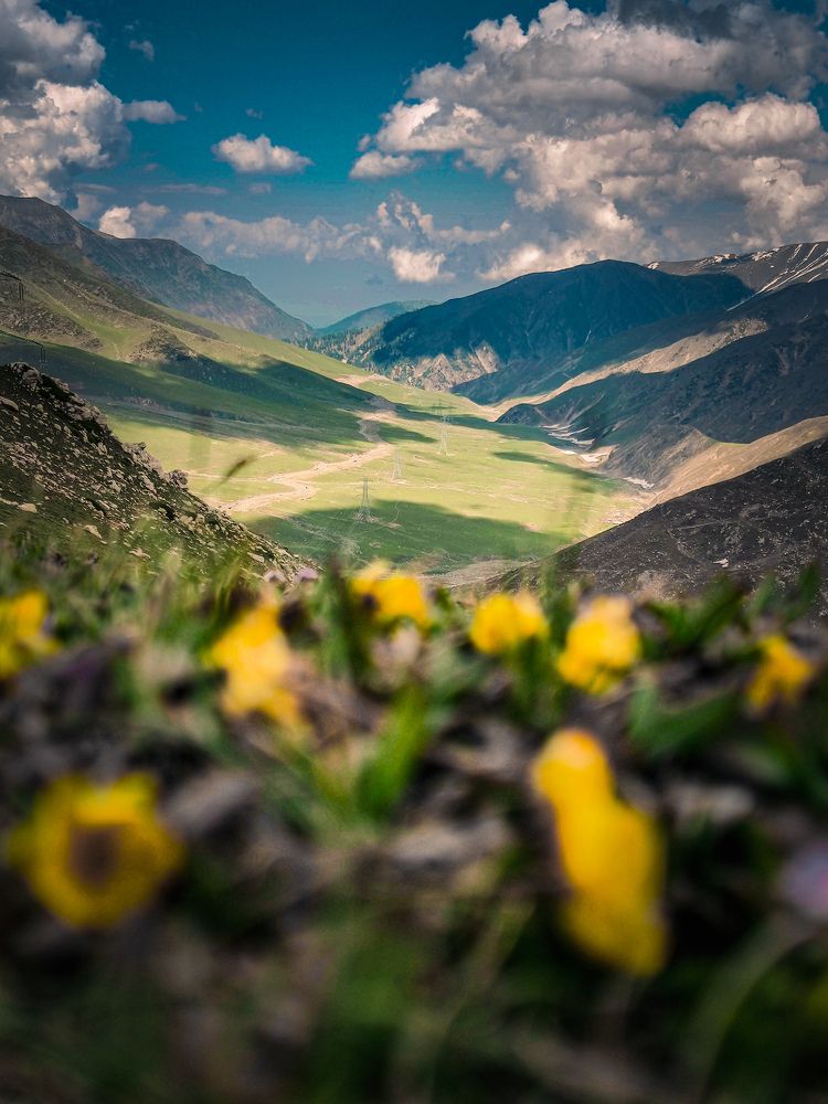 Photograph by Hannan Hamaad
