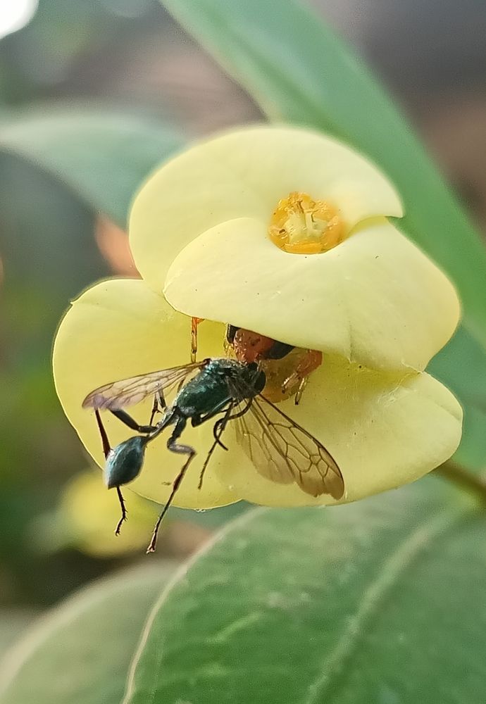 Photograph by Aje Ajesh