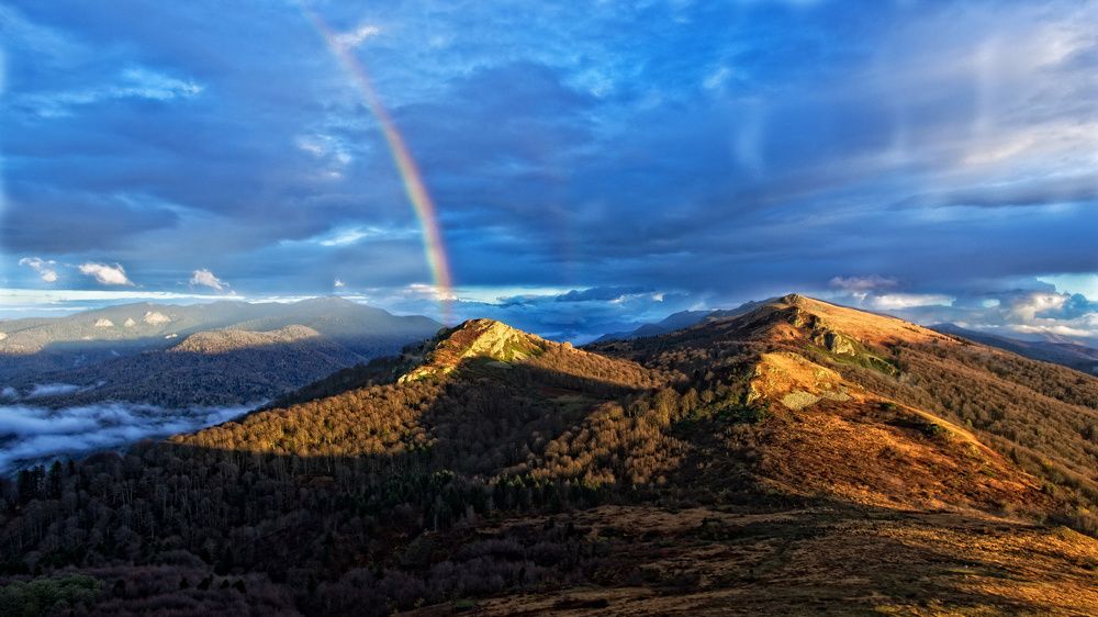 Фотография автора Сергей Павлов