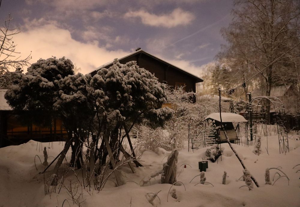 Photograph by Елена Осипова