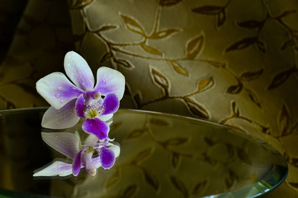 Photograph by Елена Иванова