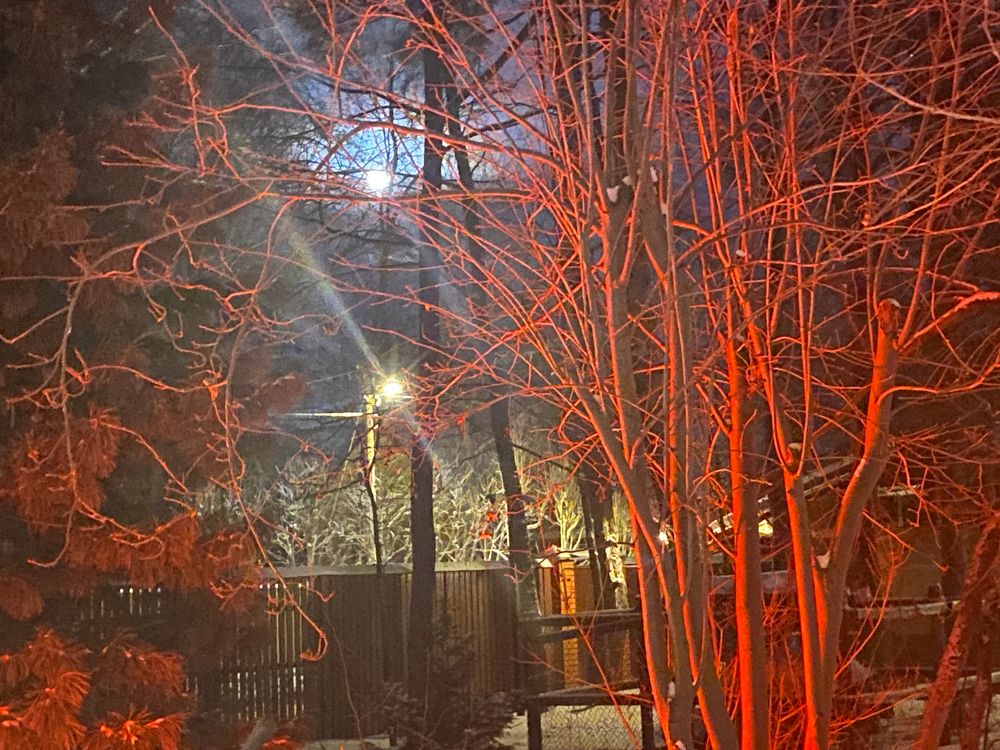 Photograph by Елена Осипова