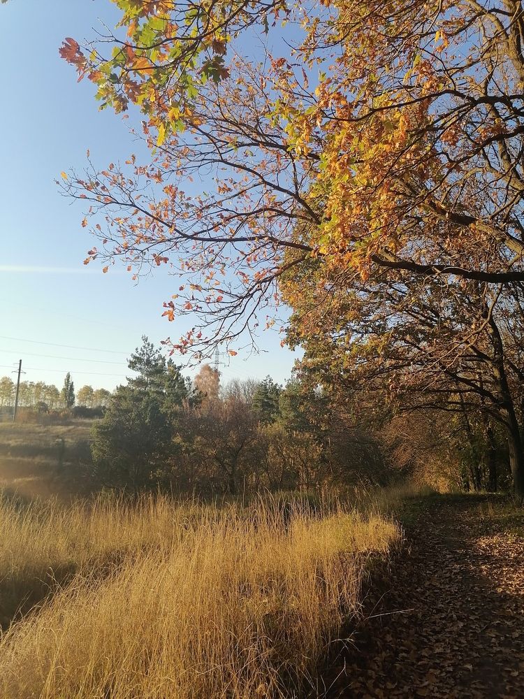 Photograph by Юлия Павленко